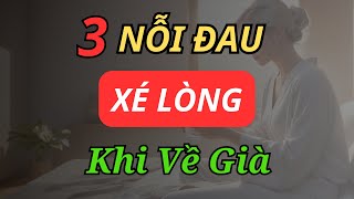 3 Nỗi Đau Khi Về GiàTâm Sự Của Những Người Cao Tuổi  Radio 247 [upl. by Adnolay646]