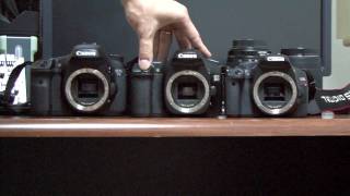 Canon 7D vs 30D vs Kiss X4 550DT2i [upl. by Adnohsal469]