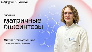 Матричные биосинтезы I Биохимия [upl. by Anek]