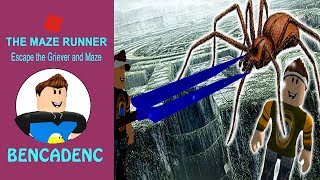 The Maze Runner  Escape the griever and maze  Roblox Adventure [upl. by Lever]