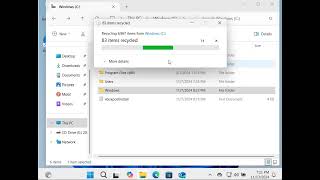 Deleting Windows File of my computer [upl. by Alroy752]