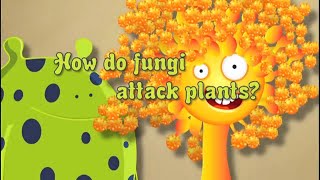 Fungicide No 2 How Do Fungi Attack Plants [upl. by Osnofla]