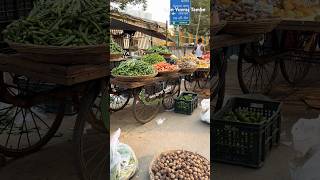 Goregaon Vegetables Market Link Road shorts trendingshorts [upl. by Spring]