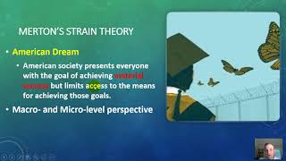 Strain Theories in Criminology [upl. by Arv]