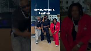 Davido and Peruzzi amp Berri tiga Vibing Relationship banger [upl. by Harrow]