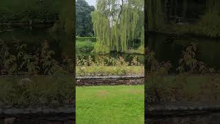 pond at coombe abbey [upl. by Renata]