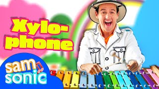 SamSonic 🎵🌟 Sound Exploring with the Xylophone  Music Education for Kids [upl. by Leuams]