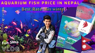 Aquarium Fish Price In Nepal  Winter Fish Stock  Aquarium Fish Shop Tour  Fish Price Goldfish [upl. by Hayikat]