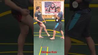 Oblique Kick  CAUTION only for selfdefense martialarts [upl. by Farrell16]