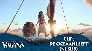 Disney Vaiana  Clip De Oceaan Leeft NL ondertiteld [upl. by Balcer]