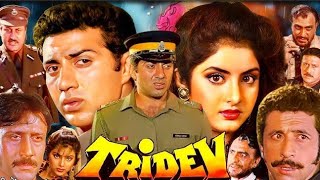 Tridev Full Movie  Sunny Deol  Jackie Shroff  Madhuri Dixit  Naseeruddin S  HD Facts amp Review [upl. by Rina]