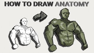 Muscular Anatomy Sketch A Guide for Beginners [upl. by Namzed]