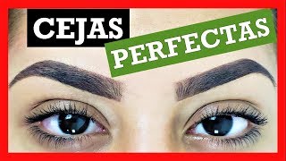 COMO DEPILAR LAS CEJAS PASO A PASO  HOW TO HAVE THE EYEBROWS STEP BY STEP  PERFECT EYEBROW [upl. by Huff]