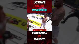 Piotr Bomba VS Sequento  W Skrócie shorts piotrbomba sequento famemma walka [upl. by Haswell]