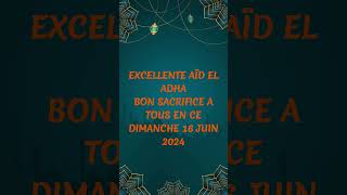 SAHA AIDKOUM AÏD ADHA DIMACHE 16 JUIN 2024 aid mouton mouslim islam sacrifice islam [upl. by Beera]