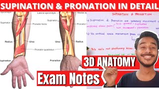 Supination and pronation of hand Anatomy [upl. by Eicats]