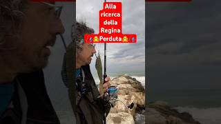 Alla ricerca della regina perduta Pesca Spinning Spigola da riva Adriatico centrale [upl. by Ettena]