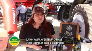 “Naranjo” el nuevo torrontés que “florecerá” este 21 de septiembre en Bodega Terra Camiare [upl. by Cadmarr]