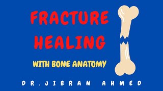 FRACTURE HEALING II BONE II ROBBINS II SYSTEMIC PATHOLOGY II BONE ANATOMY [upl. by Gifford]