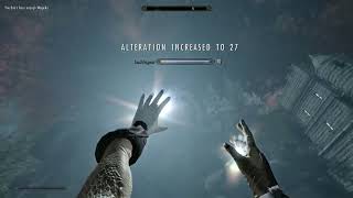 Alteration to Level 100 in NO TIME Very Easy  Magelight Glitch [upl. by Umont]