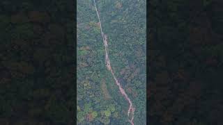 Zhangjiajie Grand Canyon Glass Bridge Bungee Jump [upl. by Norag664]