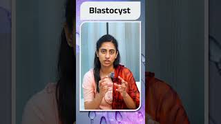 బ్లాస్టోసిస్ట్ అంటే ఏమిటి  What is Blastocyst  Avni Fertility Andrology [upl. by Araiet]