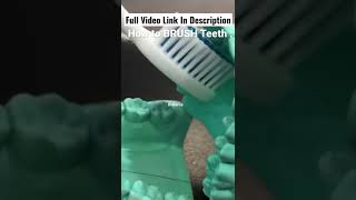 How to brush your teeth part 4  LINK IN DESCRIPTION MODIFIED BASS TOOTHBRUSHING TECHNIQUE Dentistry [upl. by Wynny]