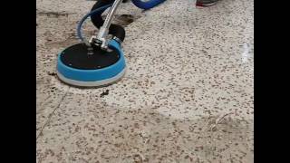 How to polish and seal a Terrazzo floor [upl. by Acissev]