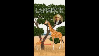 La teoría evolutiva de LAMARCK y sus PROBLEMAS [upl. by Burrow]