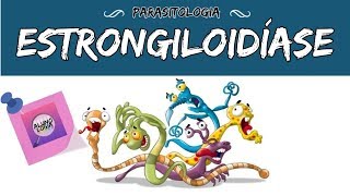 ESTRONGILOIDÍASE  PARASITOLOGIA 14 [upl. by Kcirtemed362]