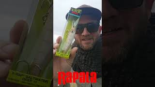 Augusts Tackle Club Tackle Box fishing unboxing barra jack [upl. by Straus558]