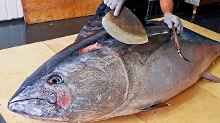 Amazing skill！500 Pound Giant bluefin tuna cutting Master Luxurious sashimi驚人的技巧！巨大黑鮪魚切割大師 鮪魚金三角 [upl. by Ecinrev]