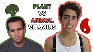 VEGANS CANT ABSORB VITAMINS Plant VS Animal Nutrition [upl. by Irwinn]