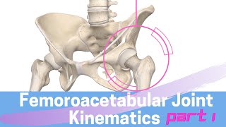 Hip Joint Biomechanics Femoroacetabular Joint Kinematics Open Kinematic Chain [upl. by Akcir983]