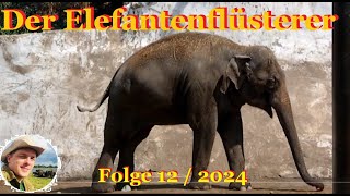 Der Elefantenflüsterer Folge 12  2024 [upl. by Constantina]