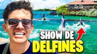 En esta isla SE PUEDE NADAR CON DELFINES  Islas del rosario  Oceanario [upl. by Maribeth]