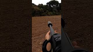 tir sanglier en plaine 20232024 corsica wildboar hornady aimpoint [upl. by Aisercal]