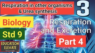 Class 9  Biology  Unit 3  Respiration and Excretion  Part 4 [upl. by Rotceh470]