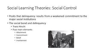 Social Process Theories and Critical Theory Explaining Delinquency [upl. by Naesar]