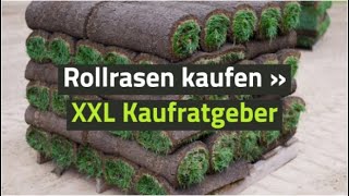 Rollrasen kaufen » XXL Kaufratgeber [upl. by Forland49]