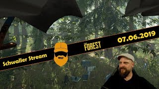 0006  Schwaller Stream 💬 The Forest  LiveStream Wautscher  07062019 [upl. by Eannaj]