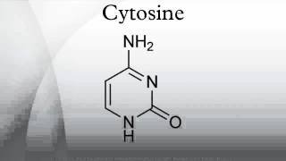 Cytosine [upl. by Vivienne]