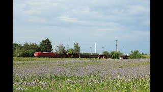 Bahnalltag in Zeithain am 04062021  der tägliche Bahnsinn [upl. by Ahsienad787]