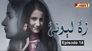 Za Lewanai  Episode 14  Pashto Drama Serial  HUM Pashto 1 [upl. by Aiak]