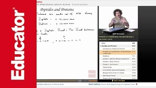 Peptides and Proteins  Biochemistry Tutorial [upl. by Christianson927]