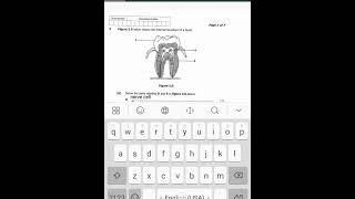 Biology 2020 Q2 Dentition [upl. by Esiuolyram]