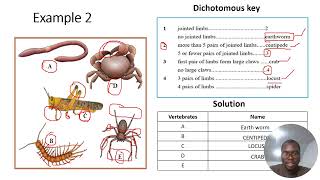 IGCSE BIOLOGY  DICHOTOMOUS KEY [upl. by Otiv]