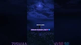 I Am So Lonely Song ZN ZISHAN [upl. by Ailina]