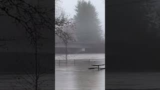 Major flooding in Arlington Washington [upl. by Nylyoj]