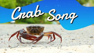 Crab Song Walk to the Left  Easy Kids Songs [upl. by Scharf]